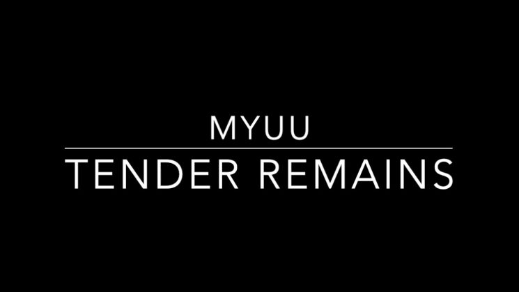 Tender Remains By Myjuu Kalimba Tabs